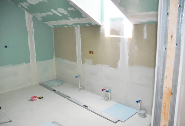 Best Mold Odor Removal Services  in Ferndale, MD