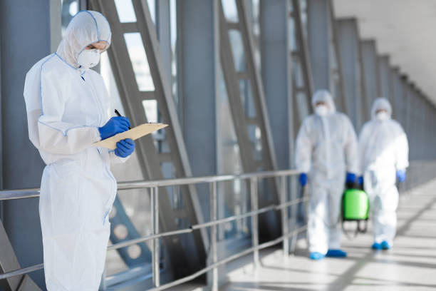 Best Environmental Consulting for Mold Prevention  in Ferndale, MD