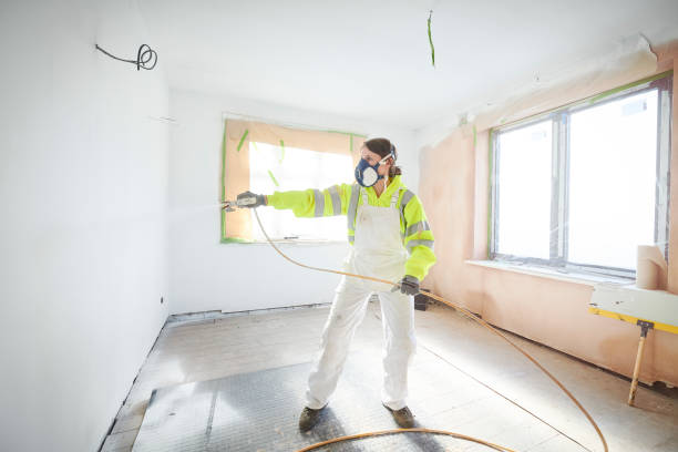 Best Post-Construction Mold Inspection  in Ferndale, MD