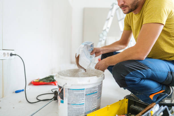 Best Emergency Mold Remediation  in Ferndale, MD