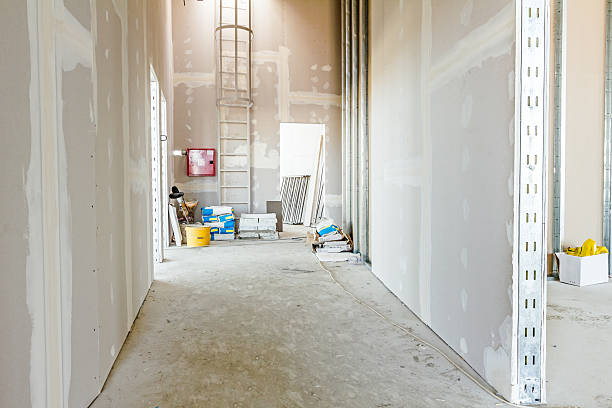 Biohazard Mold Removal in Ferndale, MD