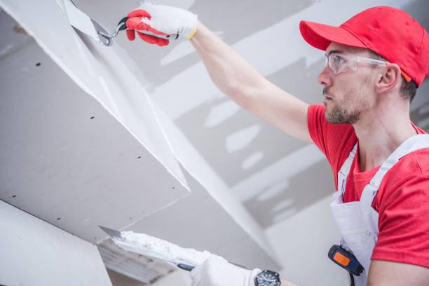 Best Water Damage & Mold Remediation  in Ferndale, MD